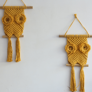 The Wise One – Macramé Owl Hanging